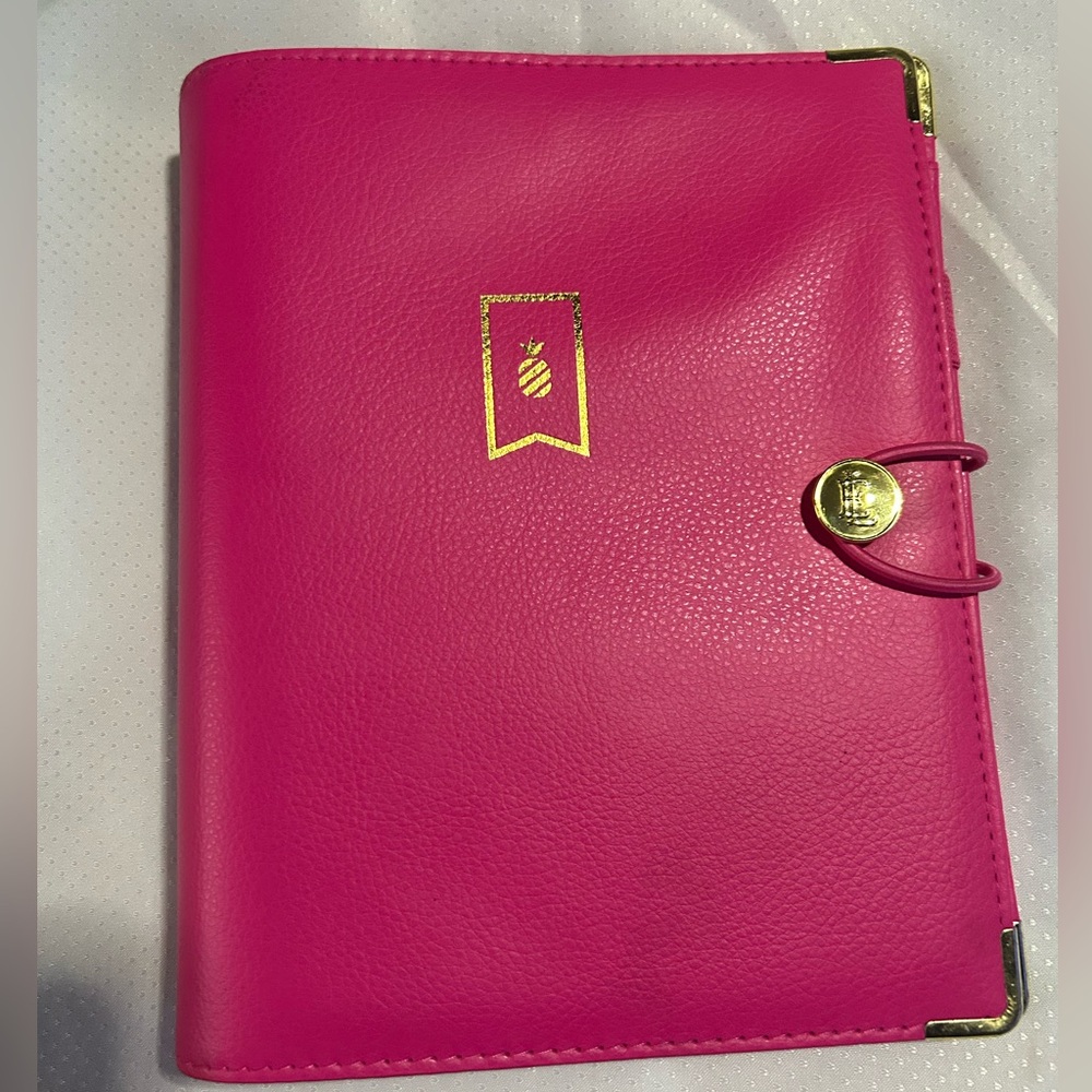 Simplified Emily Ley Planner Pink Organizer 9 3/8 x 7 3/4 At-A-Glance Pineapple